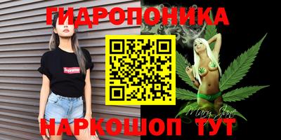 молекула духа Гай