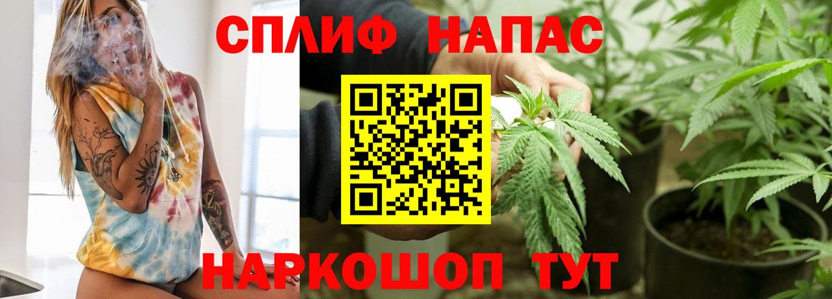 Канабис MAZAR  Канабис семена  Вход с VPN  Новоалтайск 